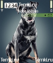 Собака для Nokia 6680
