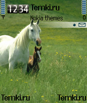 Скриншот №1 для темы Лошадь