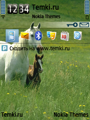 Лошадь для Nokia N77