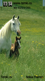 Лошадь для Sony Ericsson Satio