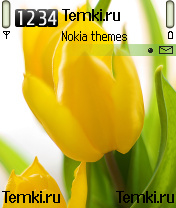 Желтые тюльпаны для Nokia 6682