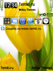 Желтые тюльпаны для Nokia 6790 Slide