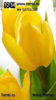 Желтые тюльпаны для Samsung i8910 OmniaHD