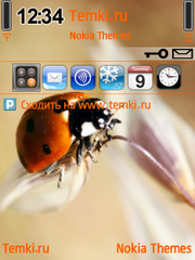 Божья коровка для Nokia N95 8GB