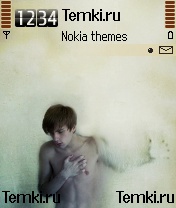 В тумане для Nokia 6638