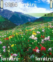 Цветочная долина для Nokia N90