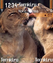Львиный поцелуй для Nokia N70