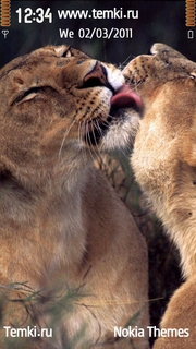 Львиный поцелуй для Sony Ericsson Kurara