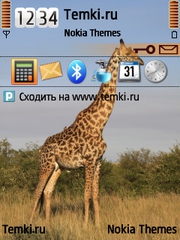 Жираф для Nokia E52