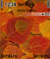 Разноцветные листья для Nokia 6260