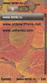 Скриншот №3 для темы Разноцветные листья