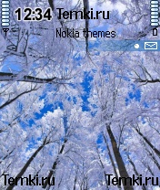Зимний лес для Nokia N70