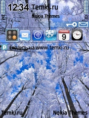 Зимний лес для Nokia E73 Mode