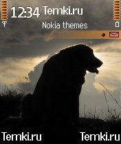 Собака для Nokia 6600