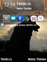 Собака для Nokia E75