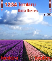 Цветочная геометрия для Nokia 6630