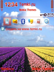 Цветочная геометрия для Nokia N73