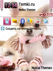 Собака для Nokia 6700 Slide