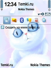 Голубоглазка для Nokia N80