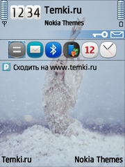 В пуху для Nokia N82