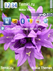 Фиолетовые Колокольчики для Nokia E52