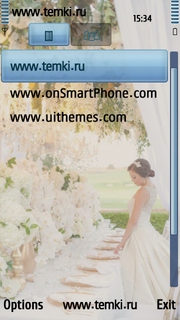 Скриншот №3 для темы Свадьба В Малибу