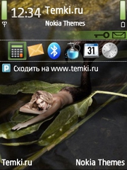 Русалка Мэгги Грейс для Nokia N73
