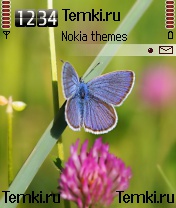 Бабочка для Nokia N90