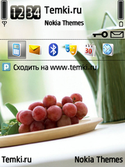 Виноград для Nokia 6730 classic