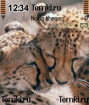Скриншот №1 для темы Парочка гепардов