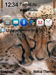 Парочка гепардов для Nokia N78