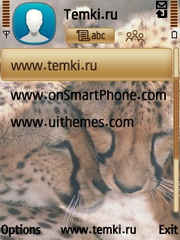Скриншот №3 для темы Парочка гепардов
