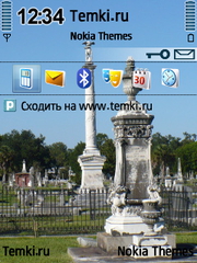Кладбище Магнолии для Nokia 6220 classic
