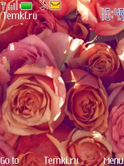 Скриншот №1 для темы Розовые розы