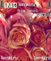 Розовые розы для Nokia N72