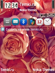 Розовые розы для Nokia N82