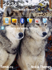 Двое  друзей для Nokia N71