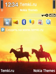Наездники для Nokia E73