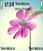 Цветок для Nokia 7610