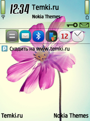 Цветок для Nokia 6730 classic