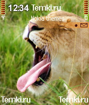 Зевающий лев для Nokia N70
