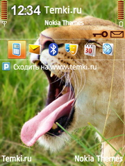 Зевающий лев для Nokia N95