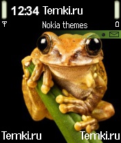 Лягушка для Nokia N70