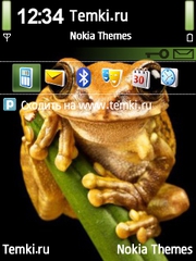 Лягушка для Nokia 5500