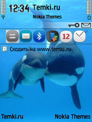 Касатки для Nokia N93
