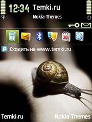 Улитка На Руке для Nokia N73