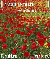 Красные маки для Nokia N90