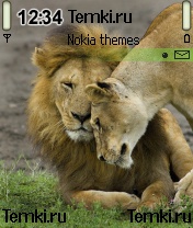 Любящие львы для Nokia 6638
