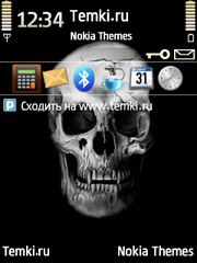 Череп Вамира для Nokia N81 8GB