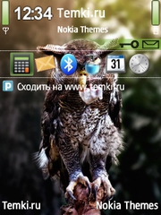 Обед для Nokia N95
